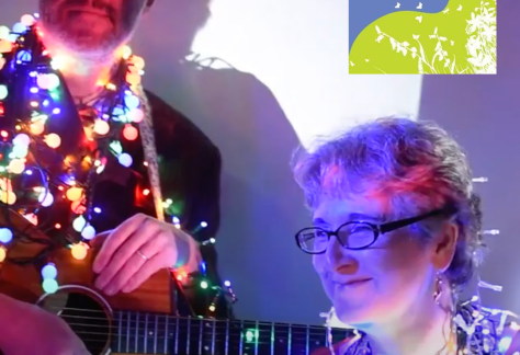 christmas fairy lights on performers